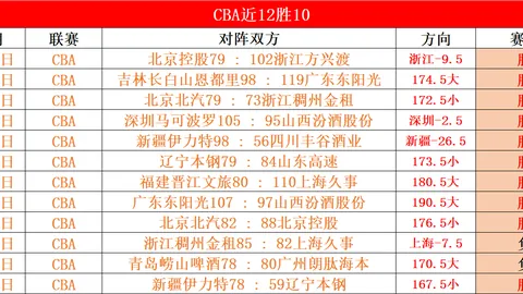 阿拉維斯足球隊簡介